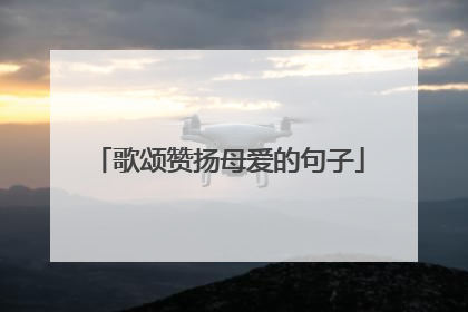 歌颂赞扬母爱的句子