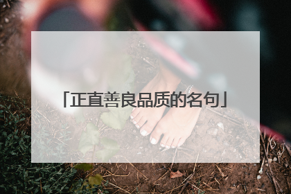 正直善良品质的名句