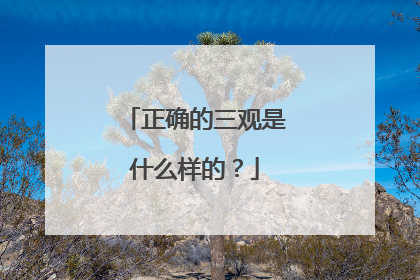 正确的三观是什么样的？