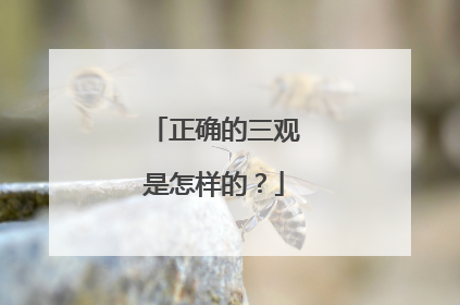 正确的三观是怎样的？