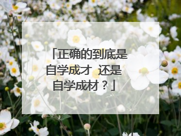 正确的到底是自学成才 还是自学成材？