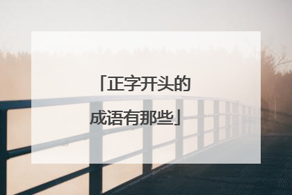 正字开头的成语有那些