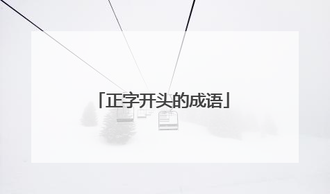 正字开头的成语