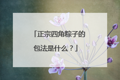 正宗四角粽子的包法是什么？