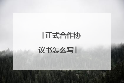 正式合作协议书怎么写