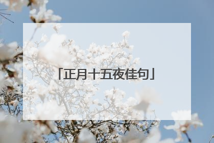 正月十五夜佳句