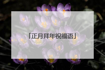 正月拜年祝福语