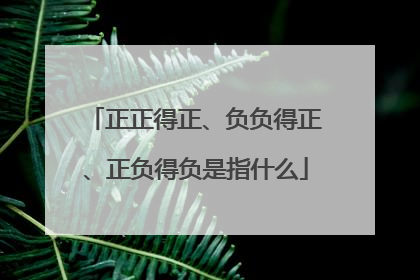 正正得正、负负得正、正负得负是指什么