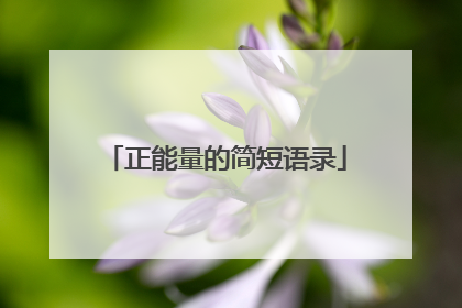 正能量的简短语录