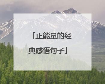 正能量的经典感悟句子