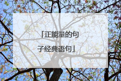 正能量的句子经典语句