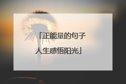 正能量的句子人生感悟阳光