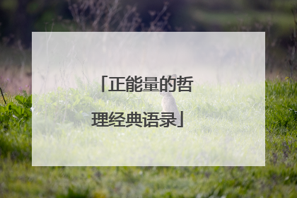 正能量的哲理经典语录