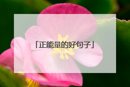 正能量的好句子