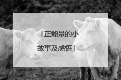 正能量的小故事及感悟