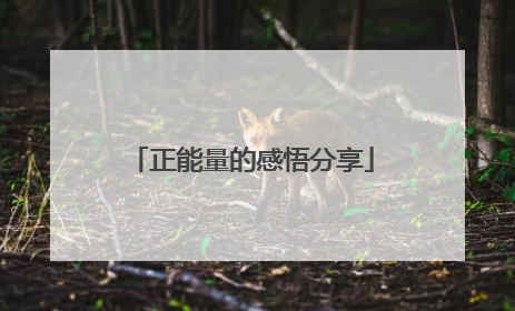 正能量的感悟分享
