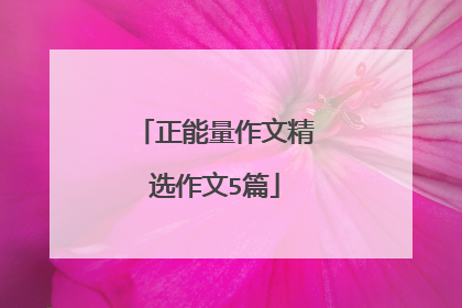 正能量作文精选作文5篇