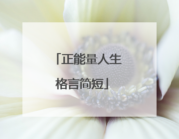 正能量人生格言简短