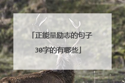 正能量励志的句子30字的有哪些