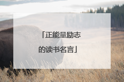 正能量励志的读书名言