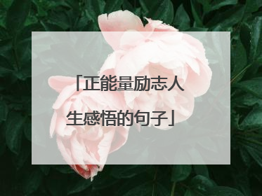 正能量励志人生感悟的句子