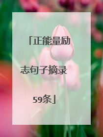 正能量励志句子摘录59条