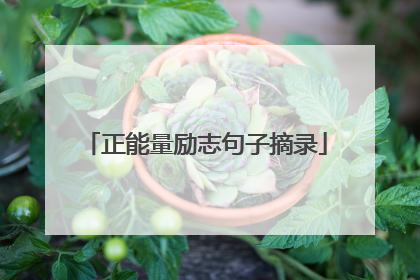 正能量励志句子摘录