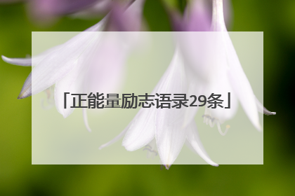 正能量励志语录29条