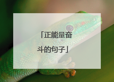 正能量奋斗的句子