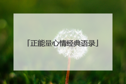 正能量心情经典语录