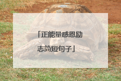 正能量感恩励志简短句子