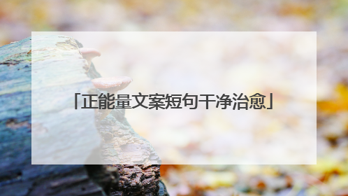 正能量文案短句干净治愈