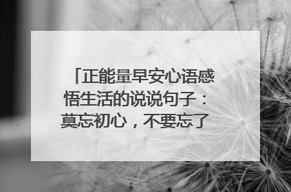 正能量早安心语感悟生活的说说句子：莫忘初心，不要忘了彼此的约定