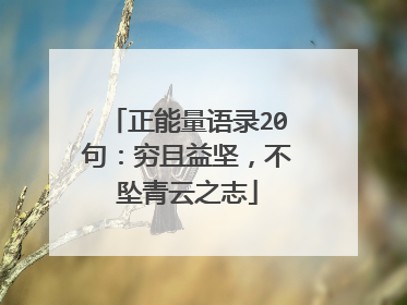 正能量语录20句:穷且益坚,不坠青云之志