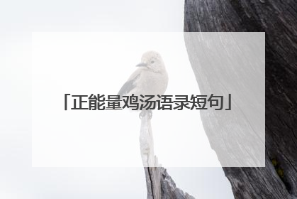 正能量鸡汤语录短句
