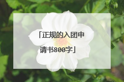 正规的入团申请书800字