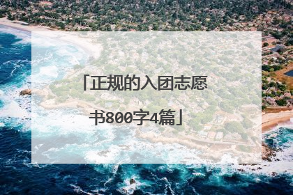 正规的入团志愿书800字4篇
