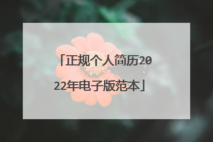 正规个人简历2022年电子版范本