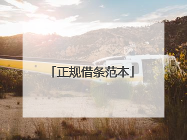 正规借条范本
