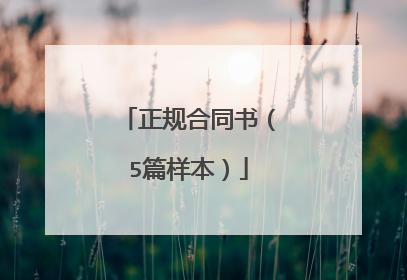 正规合同书(5篇样本)