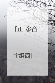 正 多音字组词