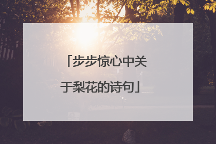 步步惊心中关于梨花的诗句