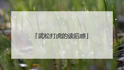 武松打虎的读后感