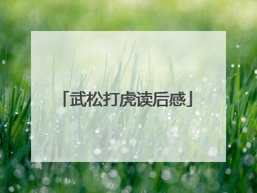 武松打虎读后感