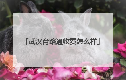 武汉育路通收费怎么样