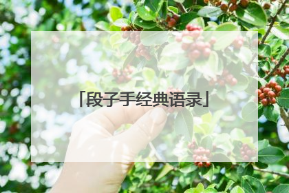 段子手经典语录
