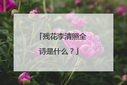 残花李清照全诗是什么?