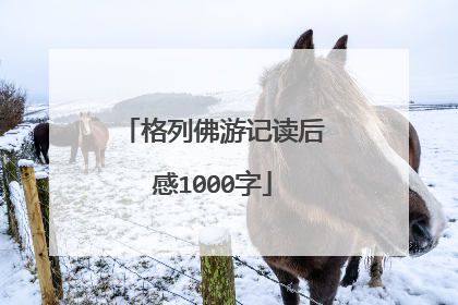 格列佛游记读后感1000字