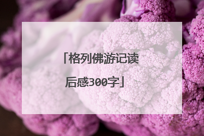 格列佛游记读后感300字