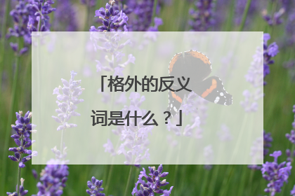 格外的反义词是什么?